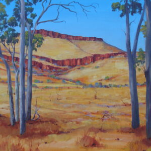 Cockburn Range - from Karungi Track