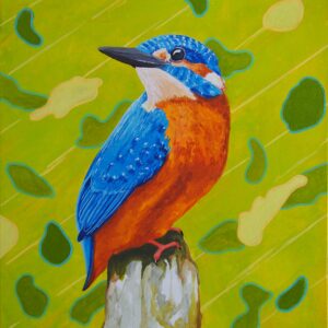 Kingfisher 2