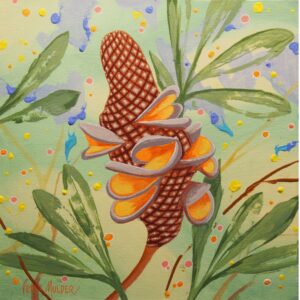 Banksia Cone - 1
