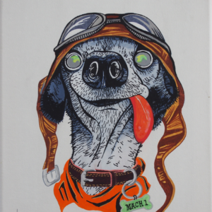 Basset