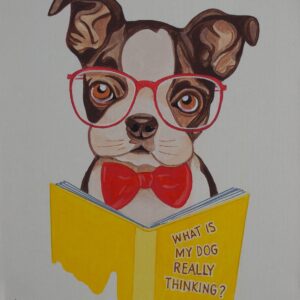 Miniature Boston Terrier