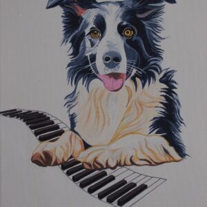 Border Collie