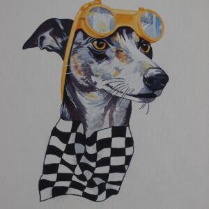 Greyhound