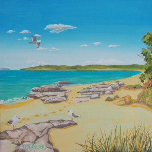 Jibbon Beach - RNP