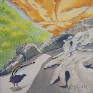 "Polona Cave Visitor" - RNP
