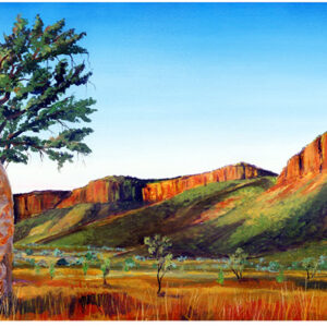 Magnificent Cockburn - Print