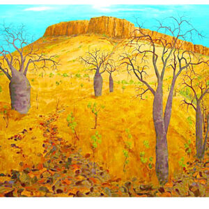 Boab Gully - Emma Gorge - Print