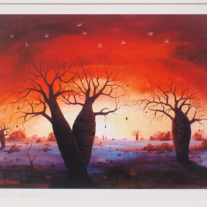 Boabs at Sunset - Print