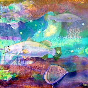 Barramundi Habitat - Print