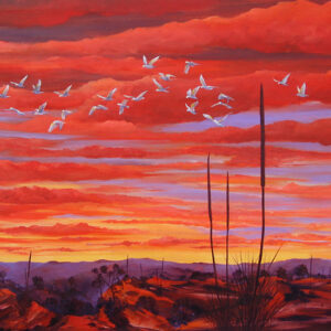 Illawarra Sunset