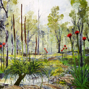 Gymea Lillies