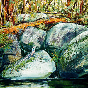 Eastern Water Dragon - Print