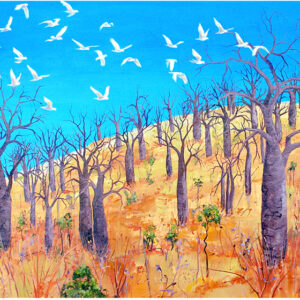 Corella Country